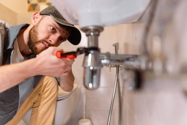 Best Affordable Plumbing Services  in Fox River Grove, IL